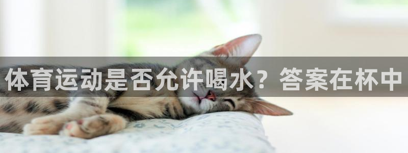 体育运动是否允许喝水？答案在杯中