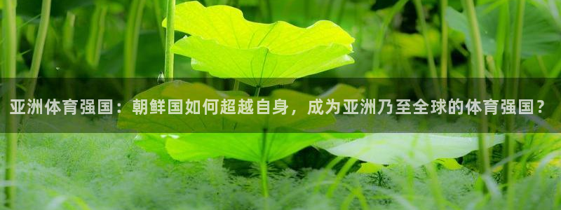 亚洲体育强国：朝鲜国如何超越自身，成为亚洲乃至全球的体育强国？