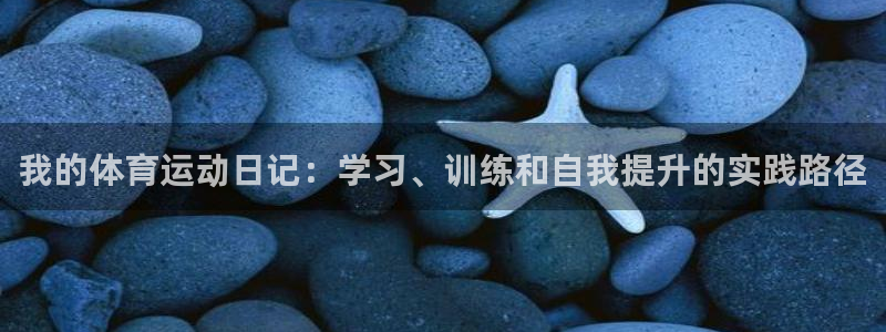 我的体育运动日记：学习、训练和自我提升的实践路径