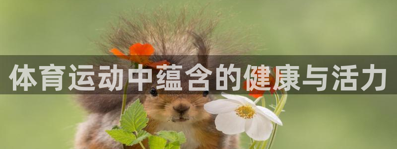 体育运动中蕴含的健康与活力